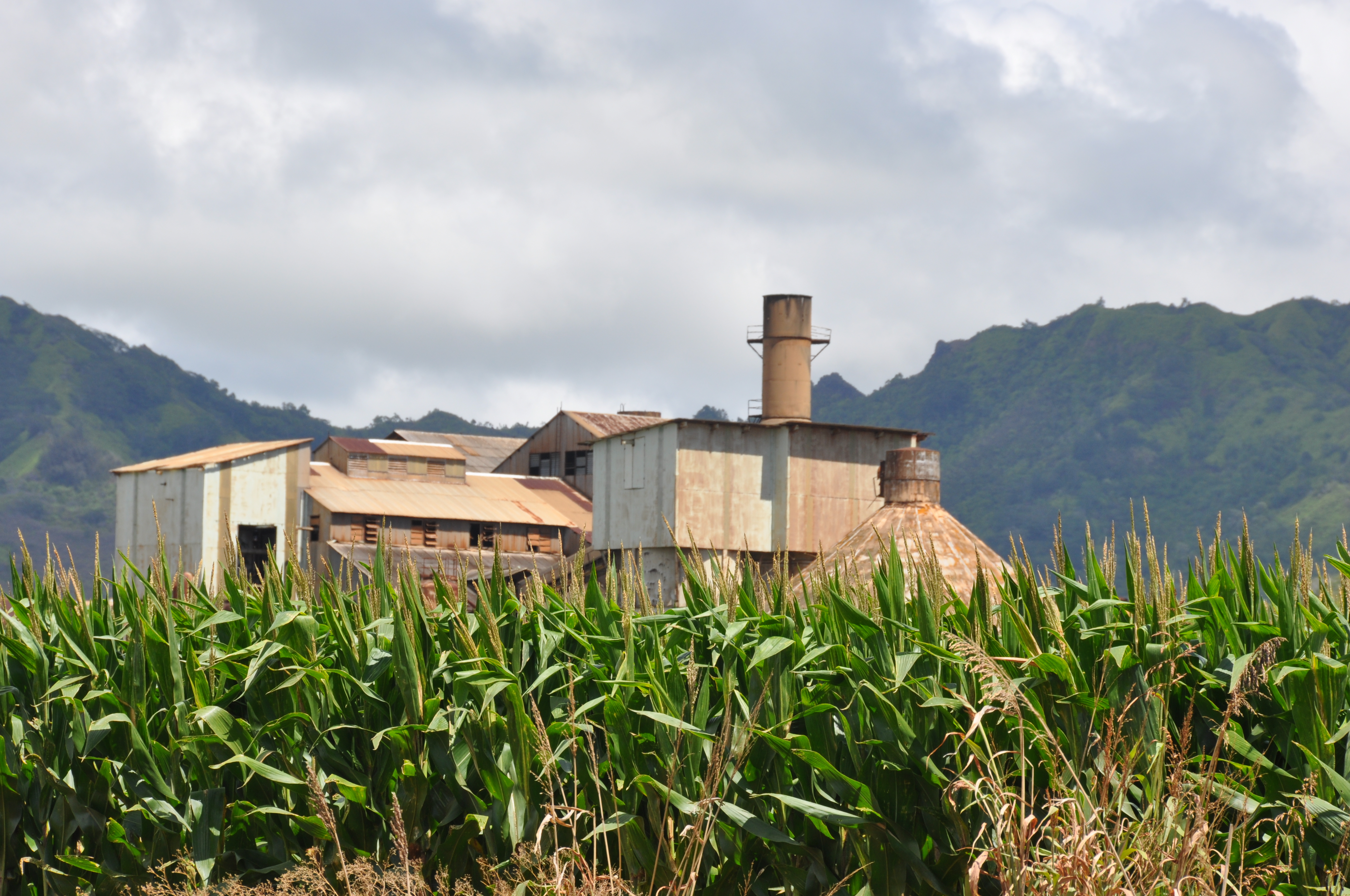 Old Koloa Sugar Mill Run Events Calendar