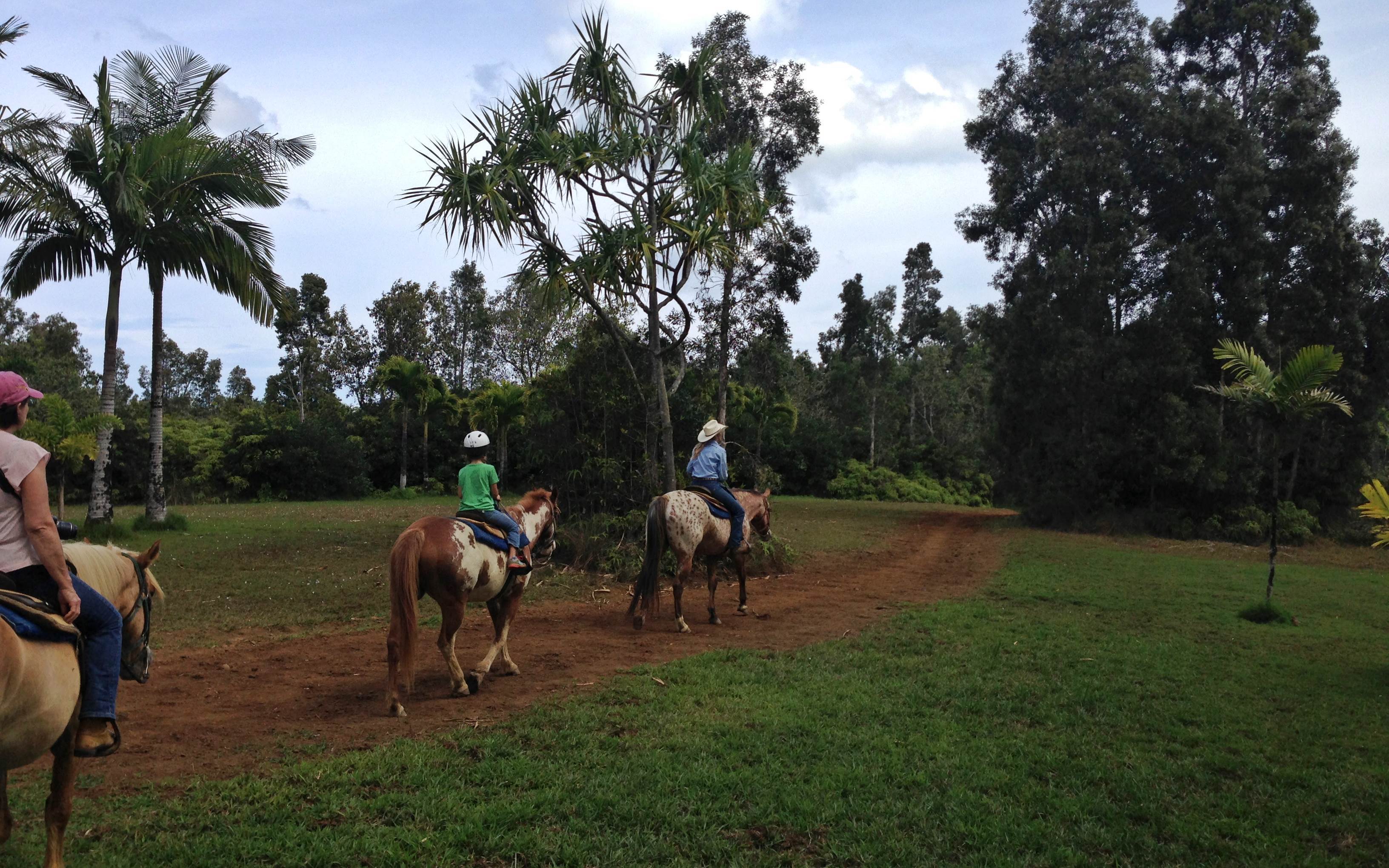 Kauai horseback riding island exploring adventure horse thing family if just