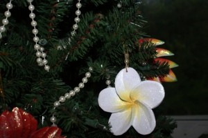 Kauai Christmas Decorations