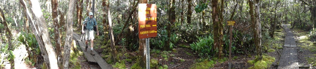 Pihea Kilohana Trail Crossing