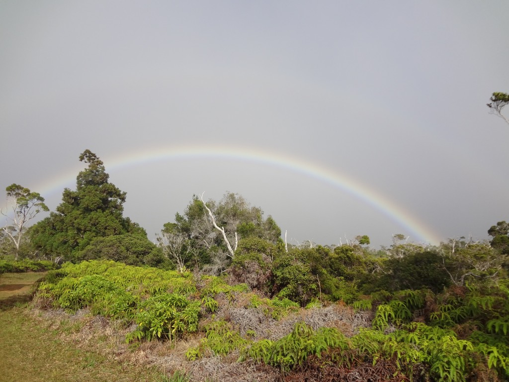Alakai Rainbow Kauai