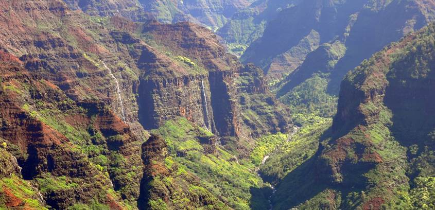 Green Waimea Canyon during winter