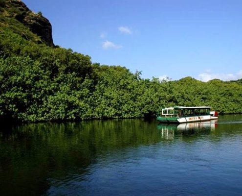 Kauai Fern Grotto Tours