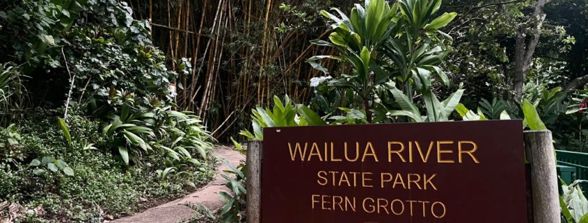wailua river cruise and fern grotto tour