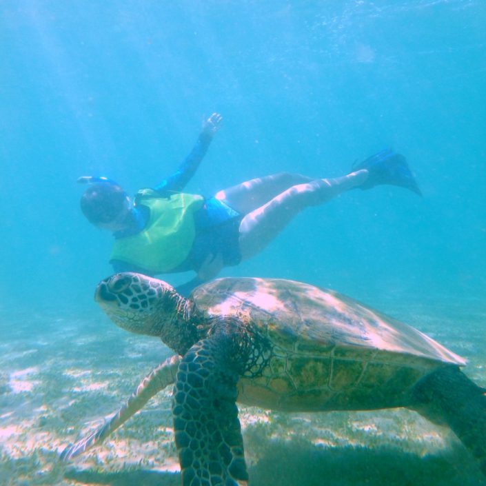 catamaran snorkel tour kauai