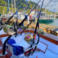 Kauai Exclusive Deep Sea Sport Fishing Charter | Kauai.com