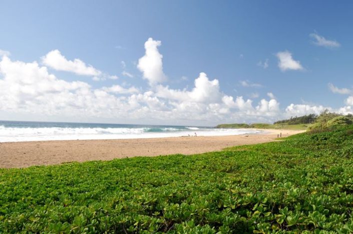 Kealia Beach | Kauai.com