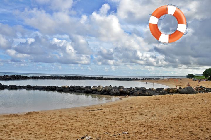 are dogs allowed at lydgate beach park