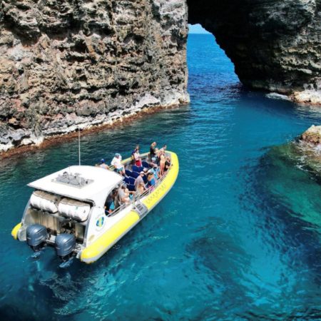 excursions tours and activities