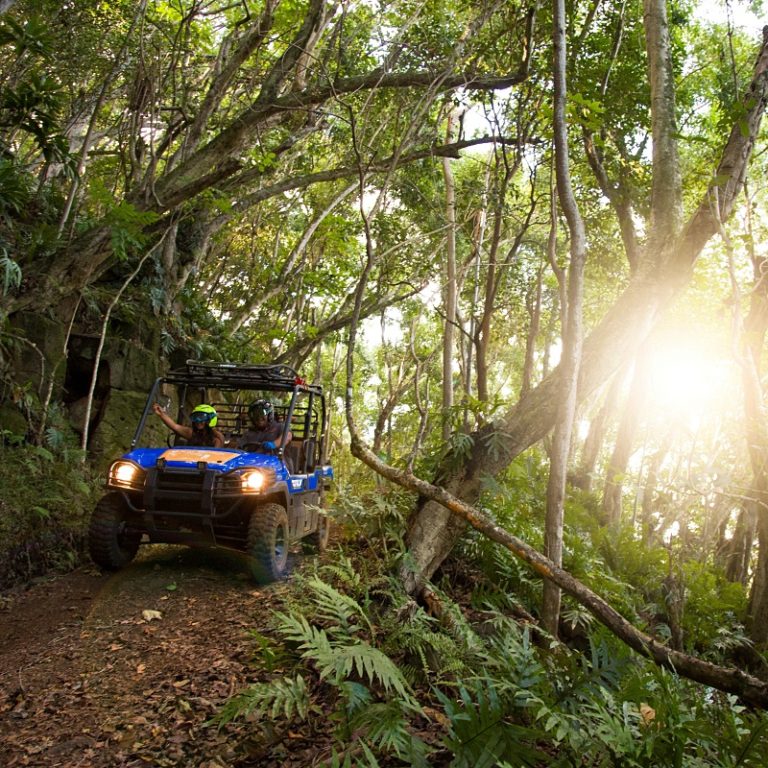 kauai ranch tour