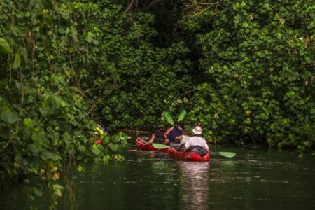 Book Kauai Kayak Tours